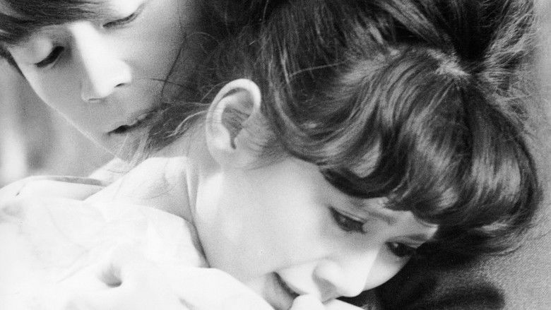 кадр из фильма И красота и печаль