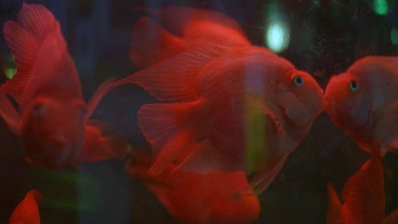 кадр из фильма 打烊時刻