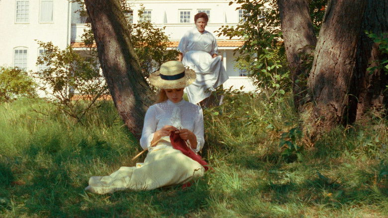 кадр из фильма Эльвира Мадиган