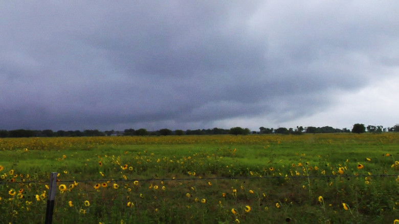 кадр из фильма No Ward