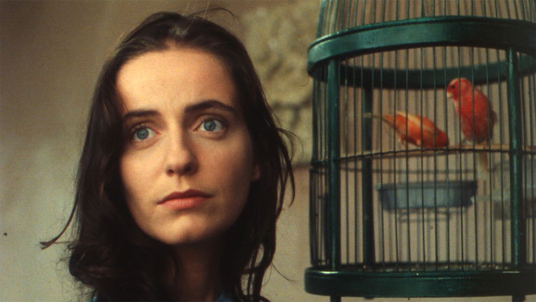 кадр из фильма Vale Abraão