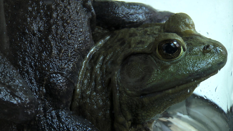 кадр из фильма The Lamps