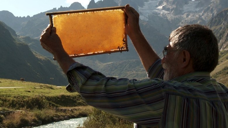 кадр из фильма Der Imker