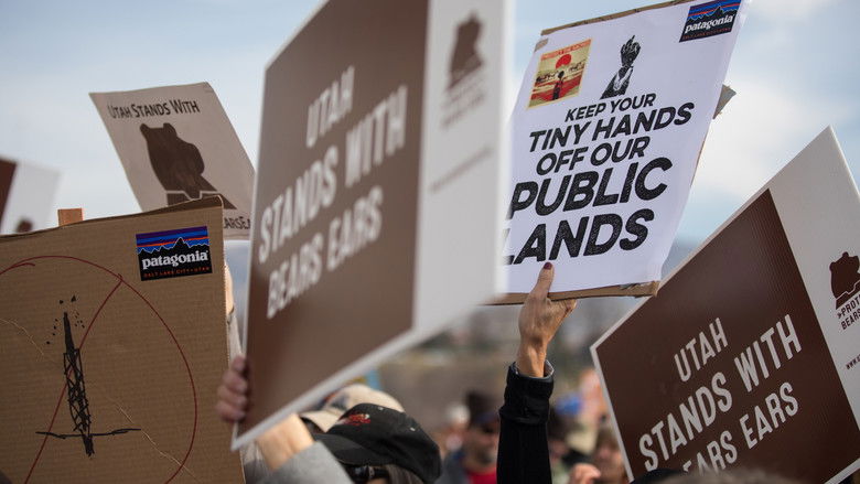 кадр из фильма Public Trust