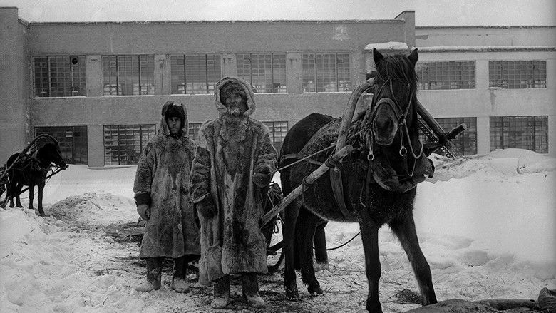 кадр из фильма Варлам Шаламов. Опыт юноши