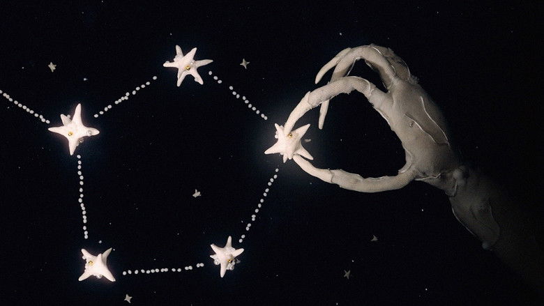 кадр из фильма Mãe da Manhã