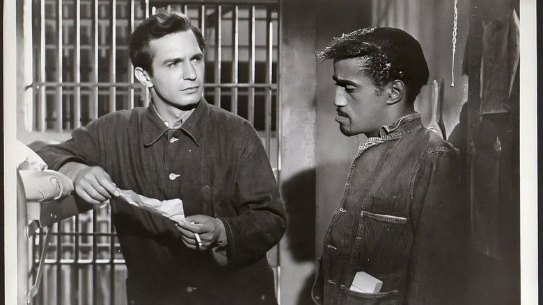 кадр из фильма Осужденные 4