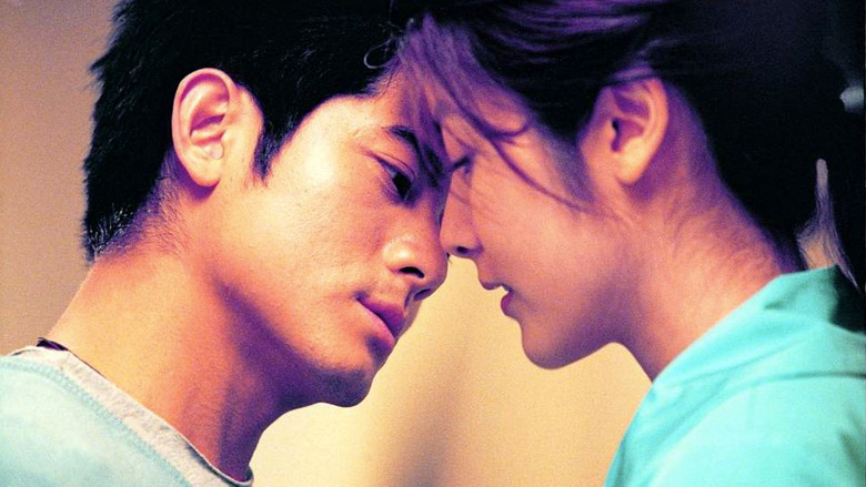 кадр из фильма 小親親