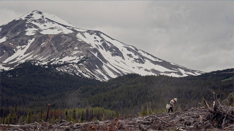 кадр из фильма Planted in 2020