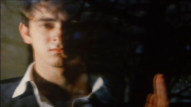 кадр из фильма Early Monthly Segments