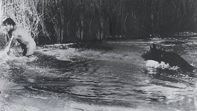 кадр из фильма El Perro