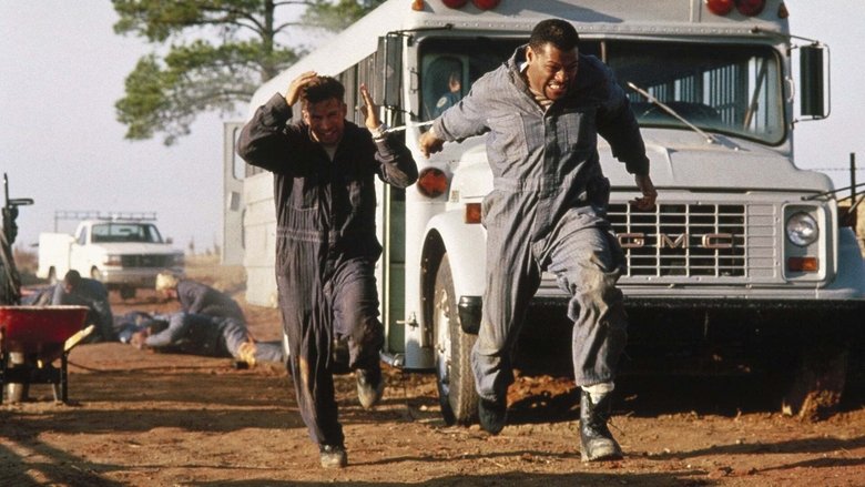 кадр из фильма Беглецы