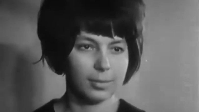 Все мои сыновья