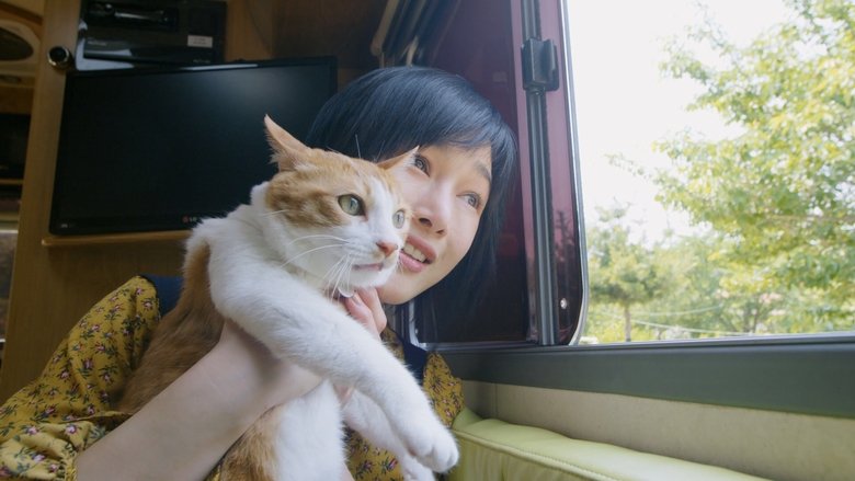 кадр из фильма 오늘도 위위