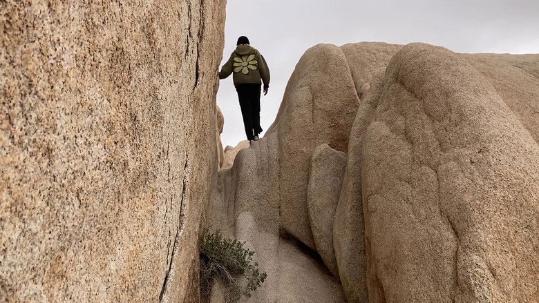 кадр из фильма The Parallel Coast