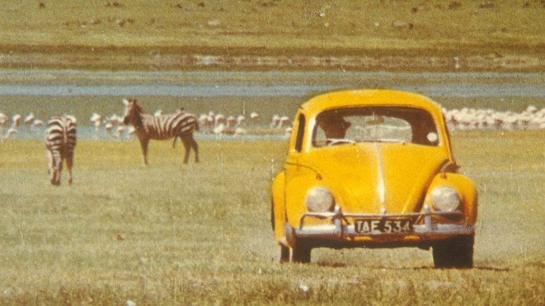 кадр из фильма Ein Käfer geht auf's Ganze