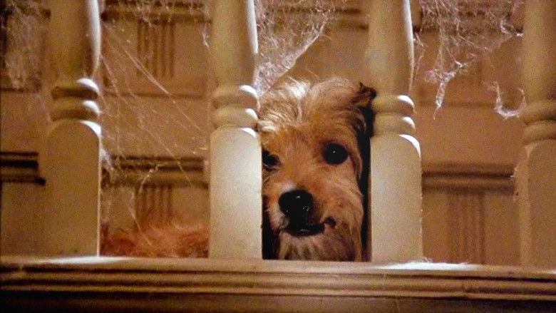 кадр из фильма Бенджи