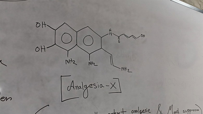 Analgesia-X