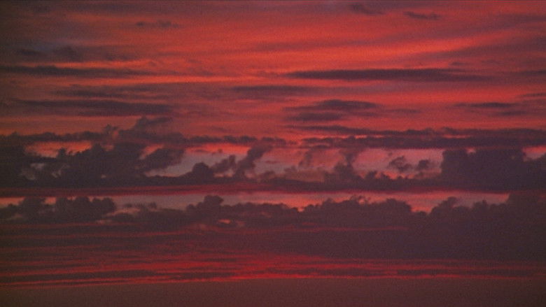 кадр из фильма The Last Movie