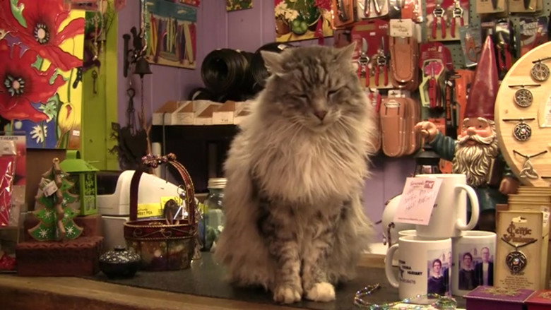 кадр из фильма Unique Boutique