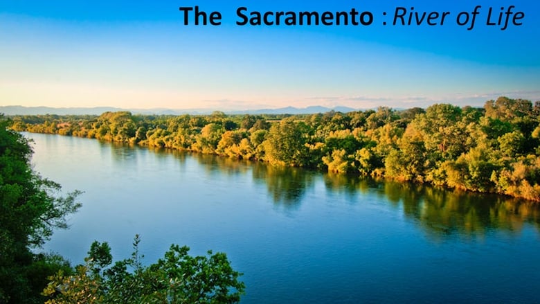кадр из фильма The Sacramento River of Life