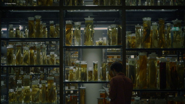 кадр из фильма Afterwater