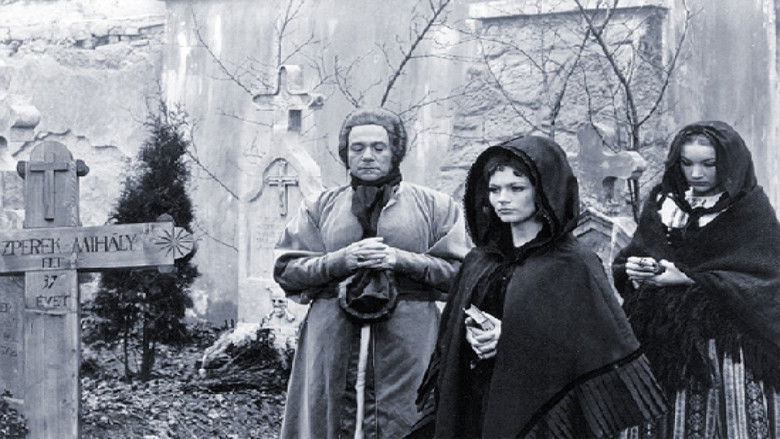 кадр из фильма Золотые дукаты призрака