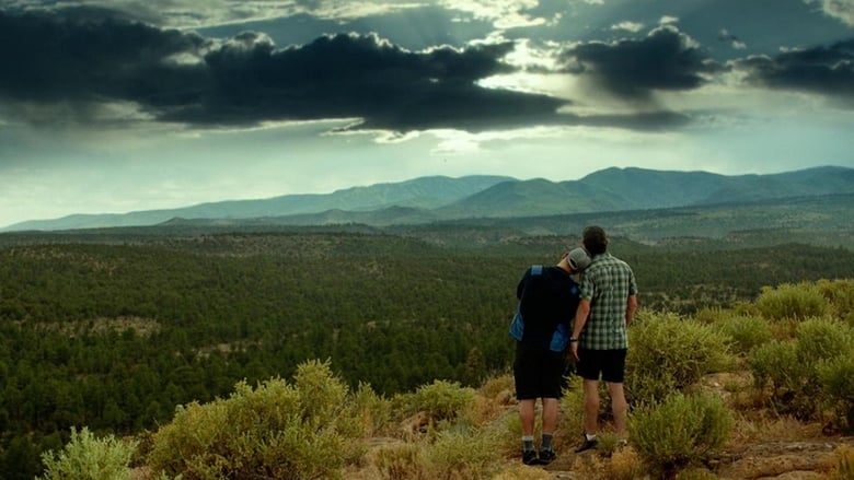 Идеальный дом