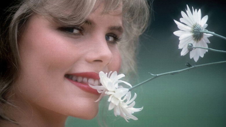 кадр из фильма Звезда Плейбоя