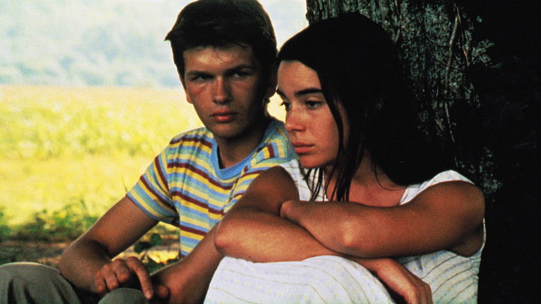 кадр из фильма Дикий тростник