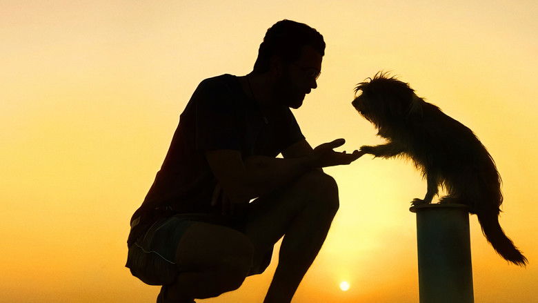 кадр из фильма Pets