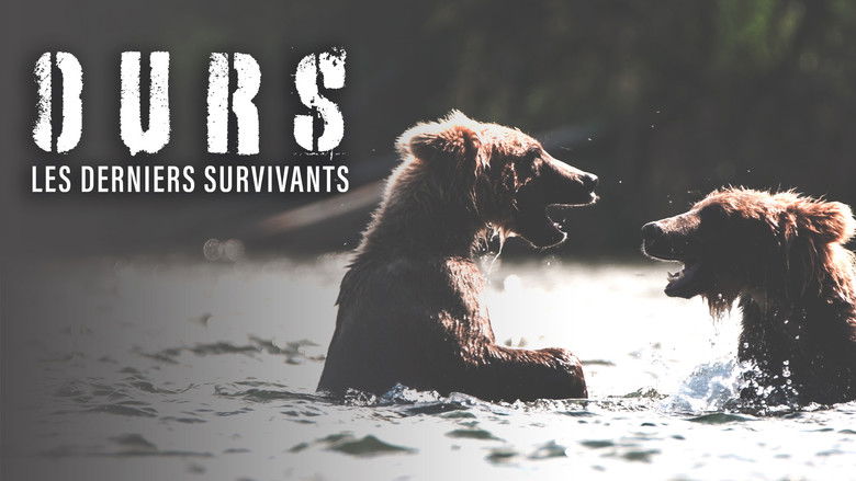 Bears : Ultimate Survivors