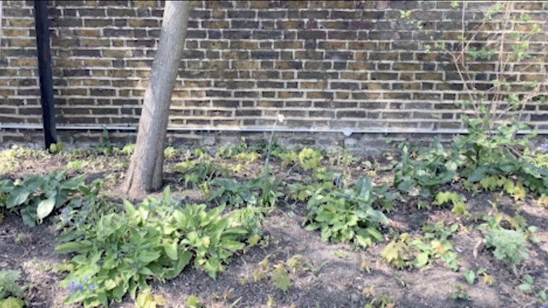 кадр из фильма Everything and Nothing at the Same Time