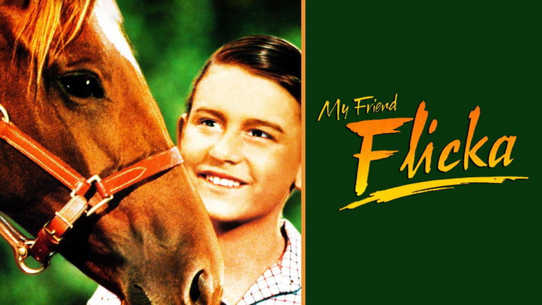 кадр из фильма My Friend Flicka