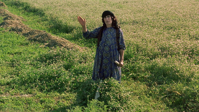 кадр из фильма Нас унесет ветер