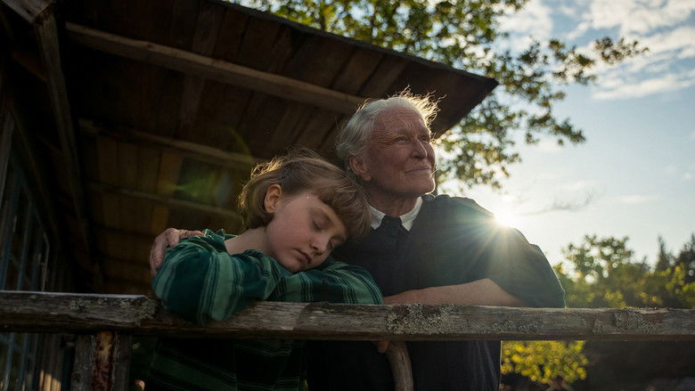 кадр из фильма The Summer Book