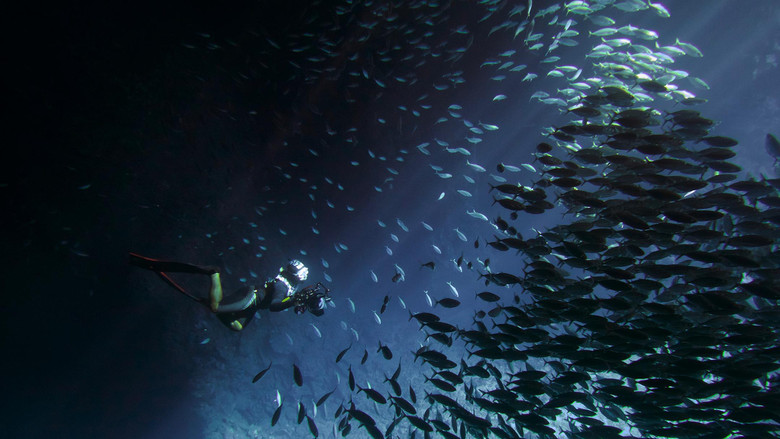 кадр из фильма 男人與他的海