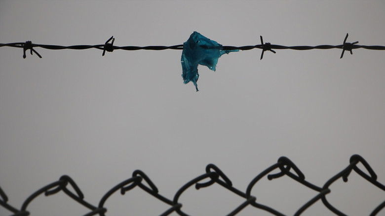 кадр из фильма Blue Bag Life