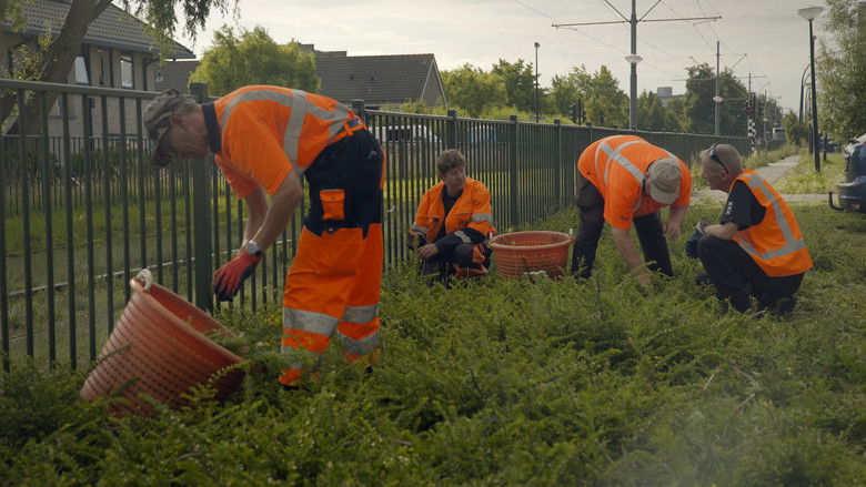 кадр из фильма Code groen