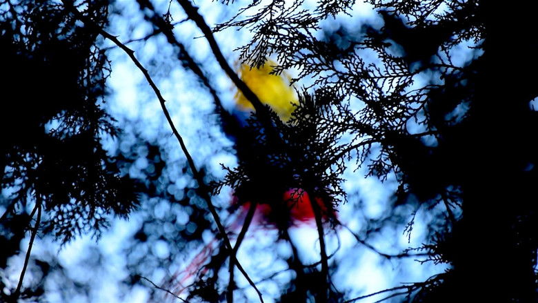 кадр из фильма Mérida, Tiempo y Naufragio.