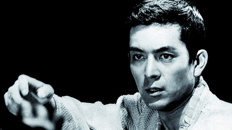 Гений дзюдо