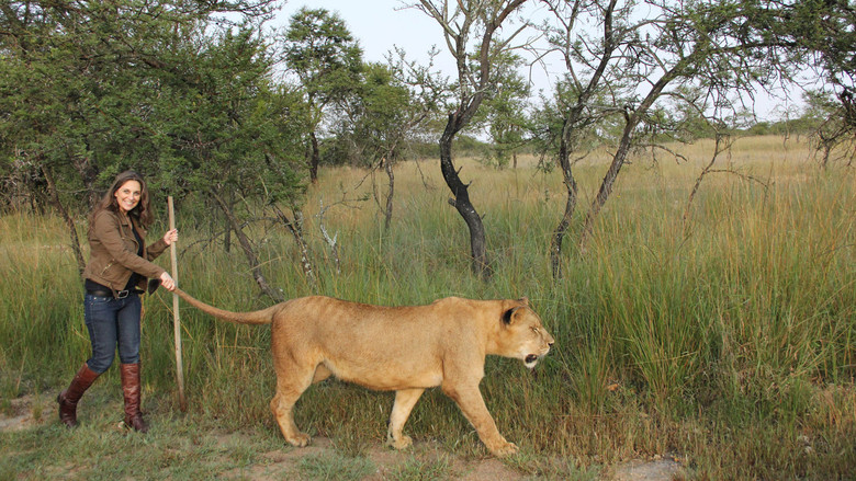 кадр из фильма Lion Spy