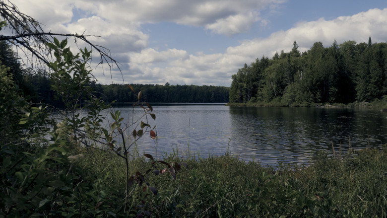 кадр из фильма Finding Limberlost