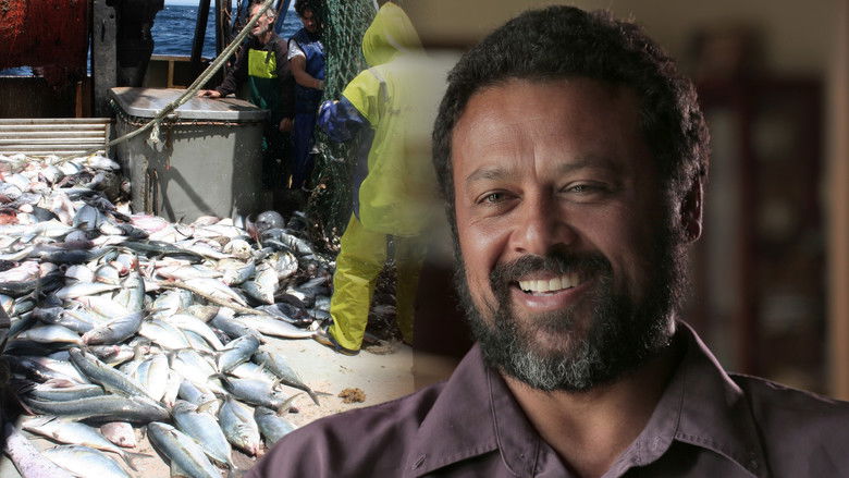 кадр из фильма Trailblazers: The New Zealand Story