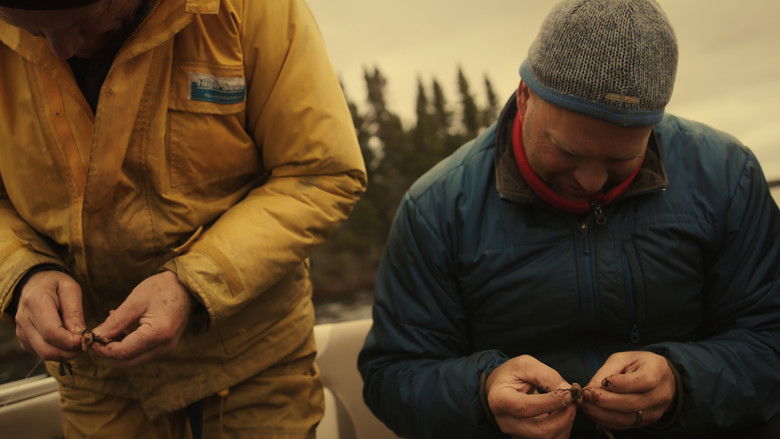 кадр из фильма Le lac des hommes