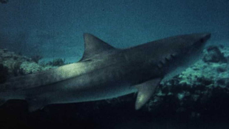 кадр из фильма Челюсти смерти