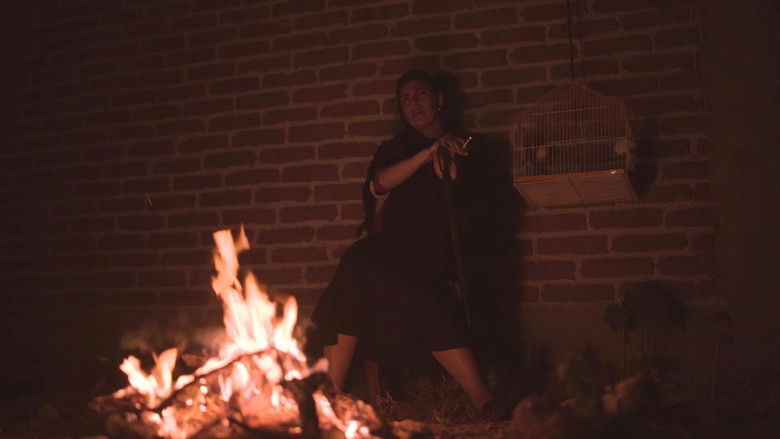 кадр из фильма Creí Que No Me Ibas A Esperar