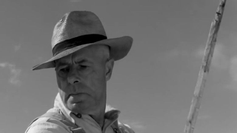 кадр из фильма Cornet at Night