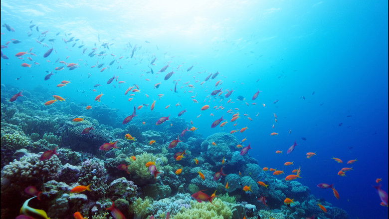 кадр из фильма هورايزن