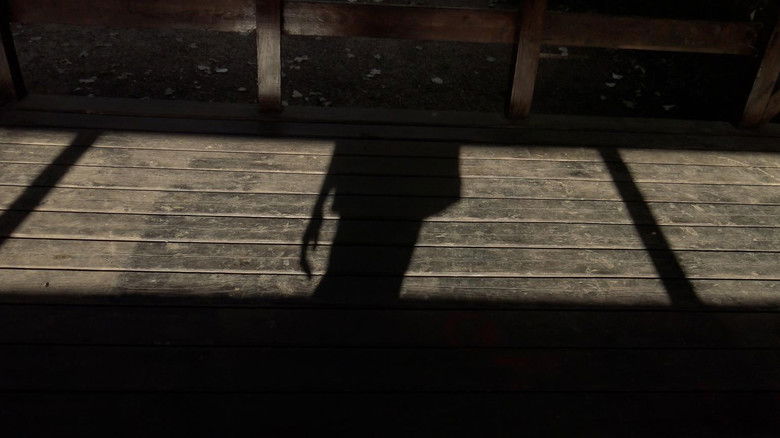 кадр из фильма La visita de un pájaro